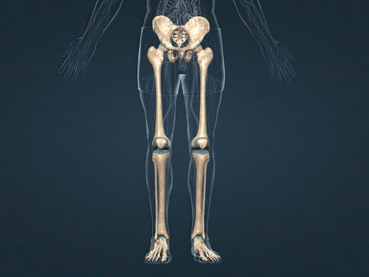 IL RUOLO CRUCIALE DEL MEDIO GLUTEO: valutare, trattare e rafforzare