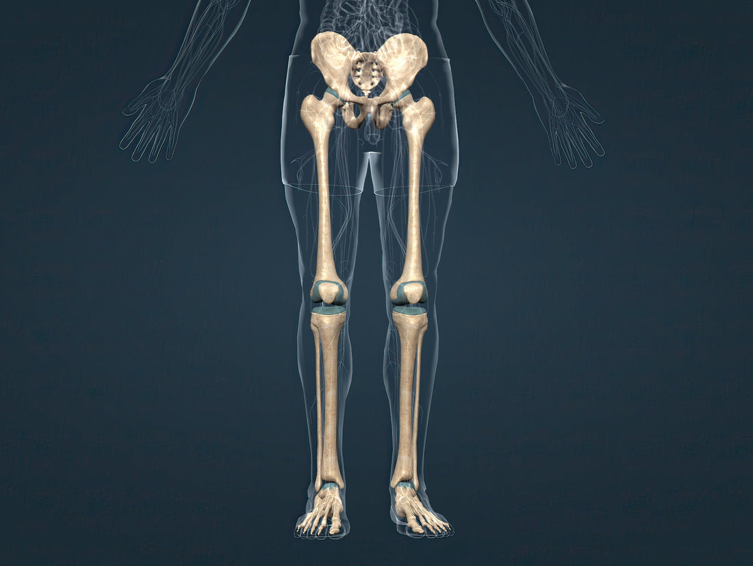 Medio gluteo: perché è fondamentale per ginocchio e schiena