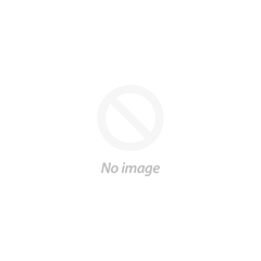 Prep. Mussetti Silvia